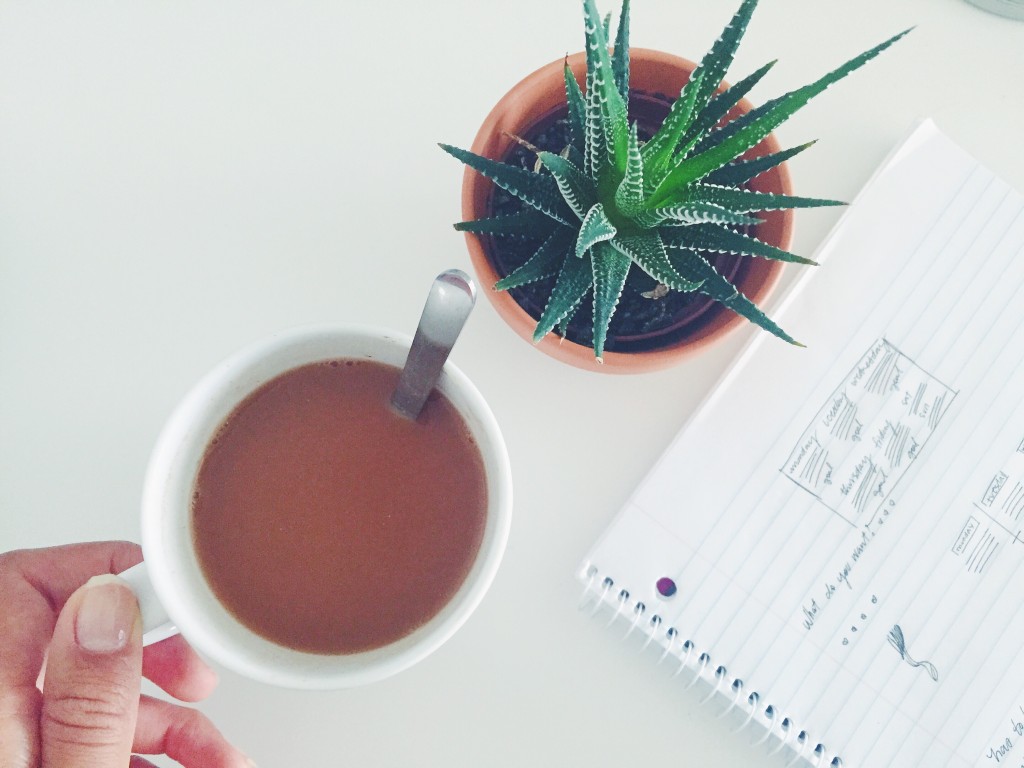 Clean Program Cleansing Plan