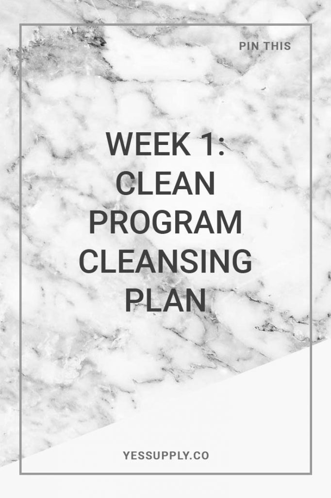 Clean Program Cleansing Plan