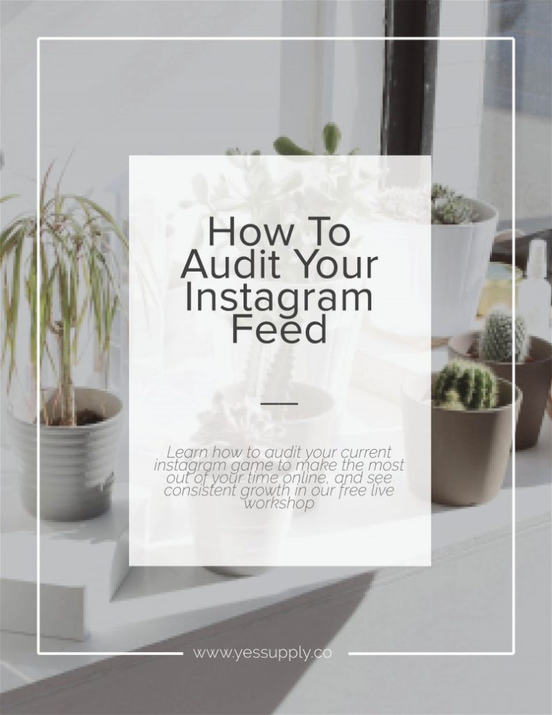 audite instagram feed
