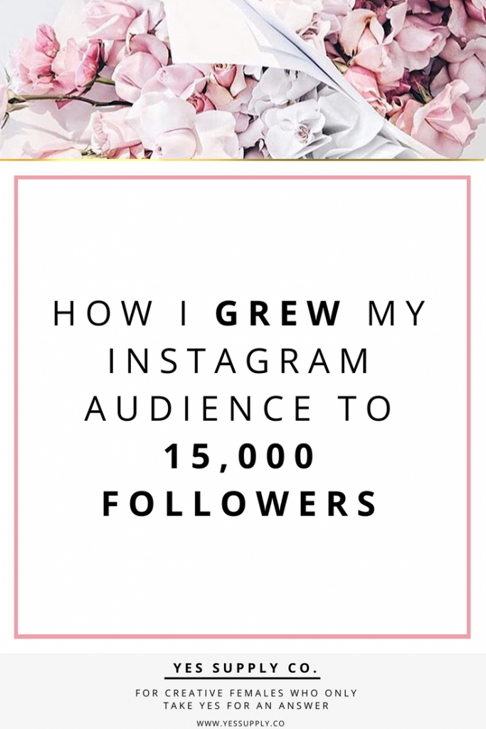 instagram audience
