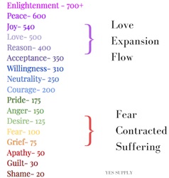Scale of Consciousness